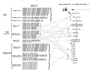 0015 B2 සුගති අහේතුක සිත් 41 (උපතින් අන්ධ-ගොළු).jpg